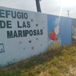 El mural de mariposas